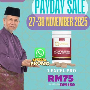 1 Excel Pro (PAYDAY SALE)